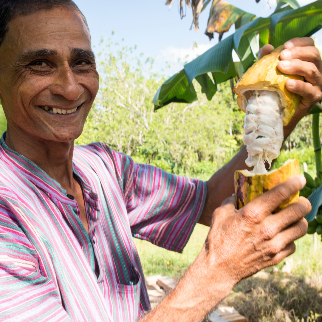 Costa Rican Ceremonial Cacao