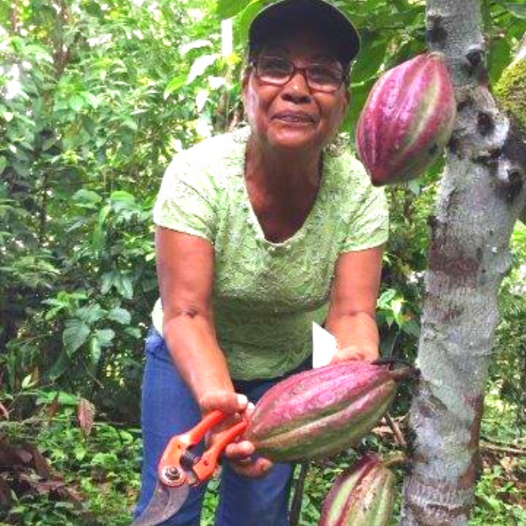 BULK Artisan Ceremonial Cacao