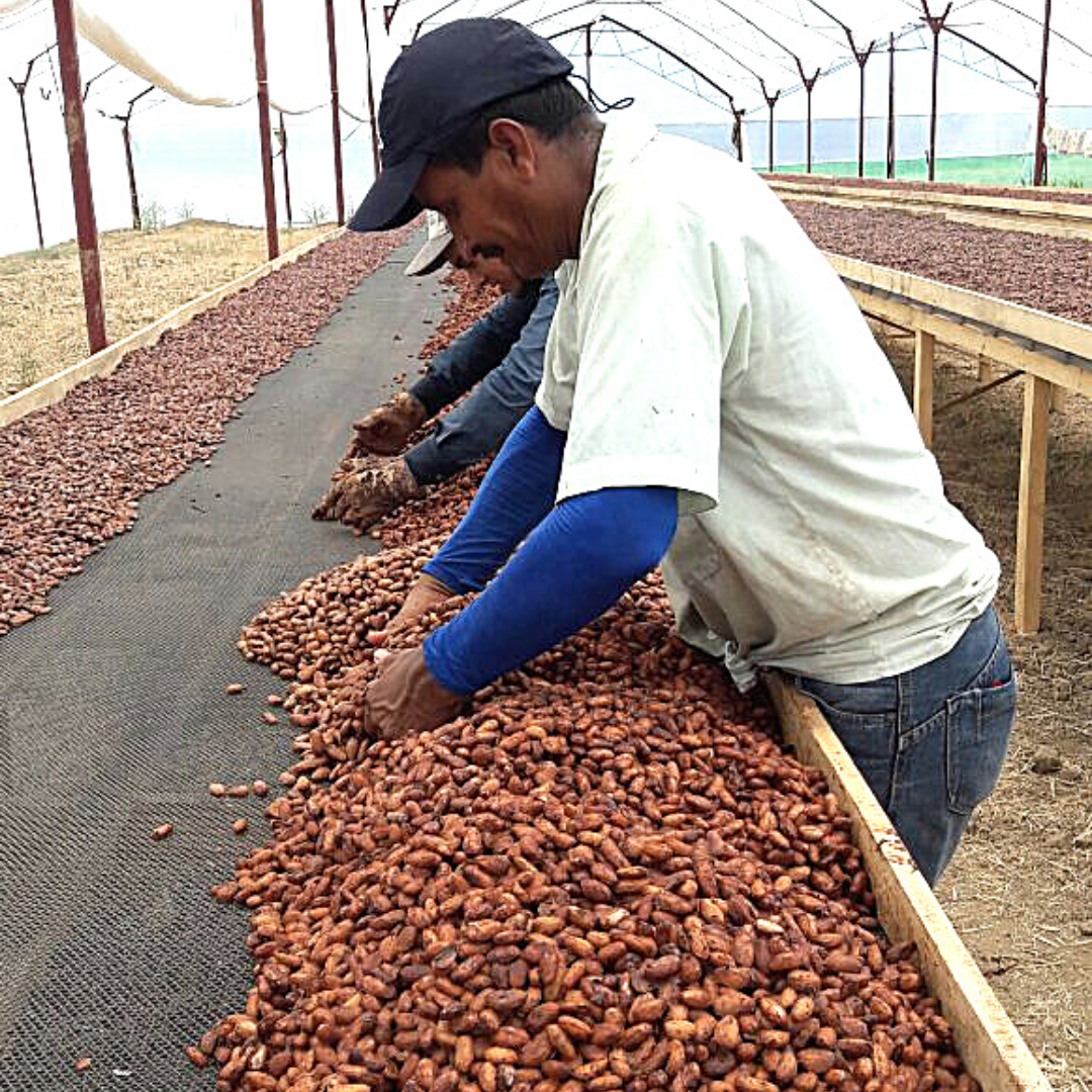 BULK Artisan Ceremonial Cacao