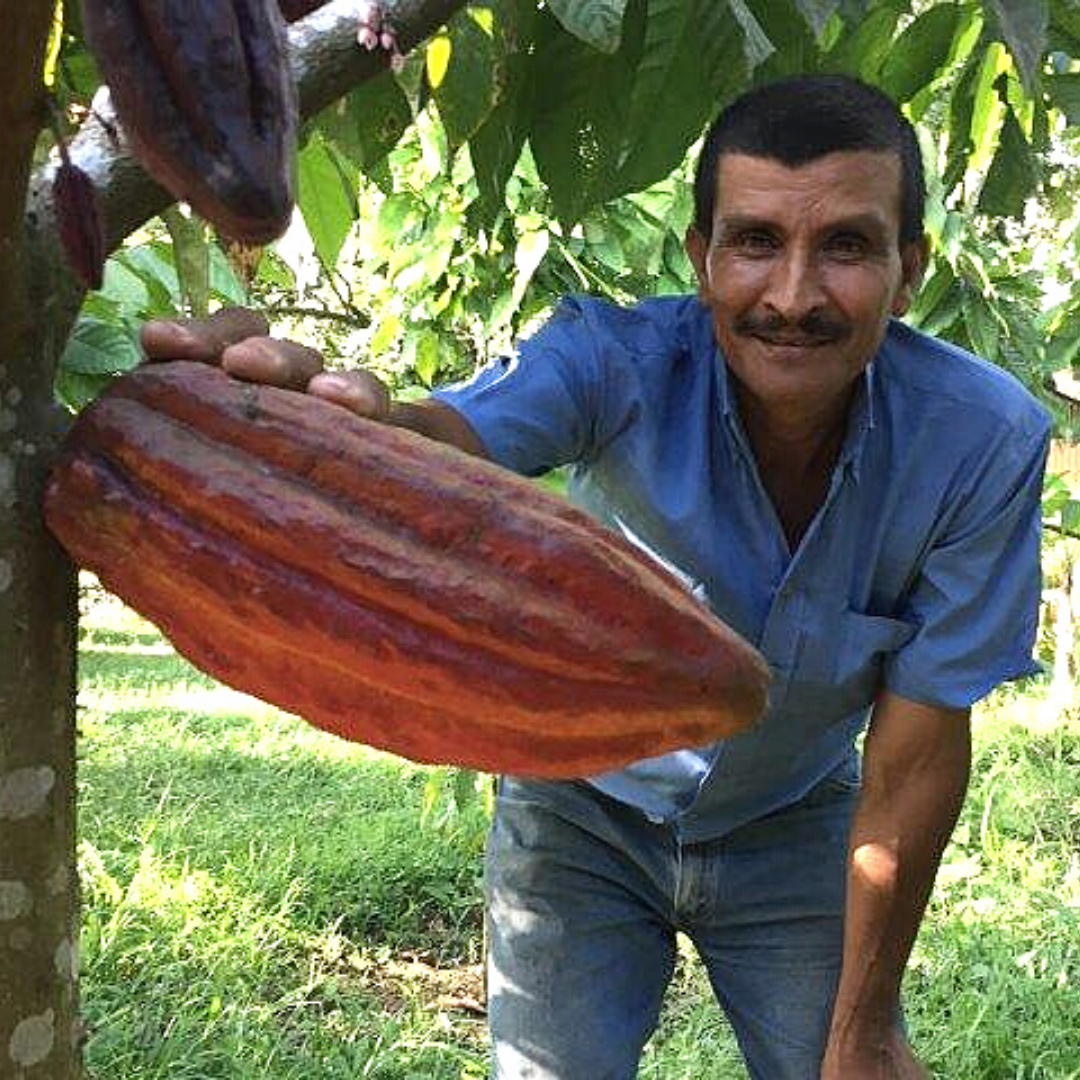Costa Rican Ceremonial Cacao